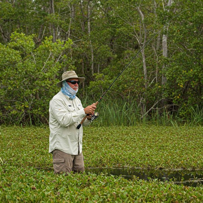Everglades Freshwater Fishing: Your Ultimate Guide to Catching Bass & More